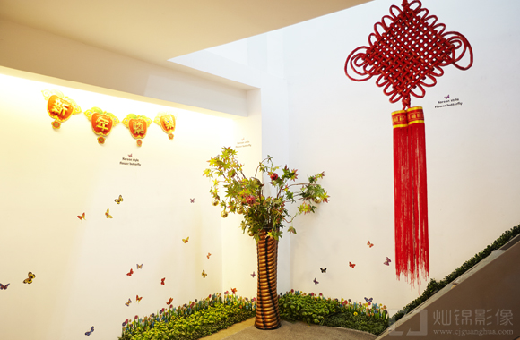 进口现磨咖啡机 消毒柜